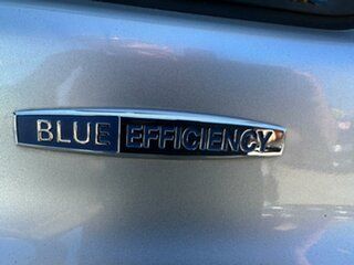 2012 Mercedes-Benz Valente 639 BlueEFFICIENCY Silver 5 Speed Automatic Wagon