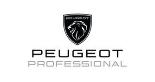 2023 Peugeot Expert K0 MY23 Pro Long Black 8 speed Automatic Van.
