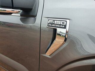 2022 Ford F150 (No Series) Platinum Grey Automatic Utility