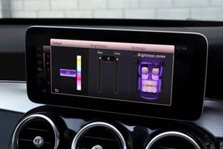 2019 Mercedes-Benz C-Class W205 809MY C300 9G-Tronic Blue 9 Speed Sports Automatic Sedan