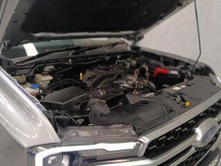 2022 Ford Everest UB 2022.00MY Platinum FullTime 4WD DR Silver 10 Speed Sports Automatic SUV
