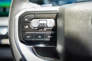 2025 LDV Terron 9 EKK1C Evolve AWD Grey 8 Speed Sports Automatic Utility