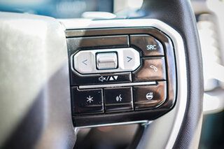 2025 LDV Terron 9 EKK1C Evolve AWD Grey 8 Speed Sports Automatic Utility