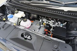 2026 BYD Dolphin MY25 Premium Harbour Grey 1 Speed Reduction Gear Hatchback